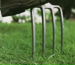 Фотография Болдырева Арина