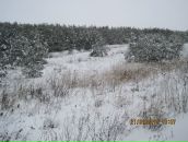 Іра Савчук фотография #6 (источник - https://vk.com/id102736004)