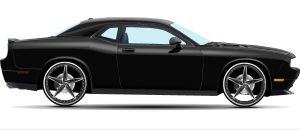 Артем Огій фотография #25 (источник - https://vk.com/id125807355)