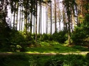 Садиба У-Мії фотография #17 (источник - https://vk.com/id153686338)