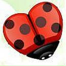 Анна Жук фотография #1