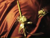 Фотография Лаптевой Екатерины