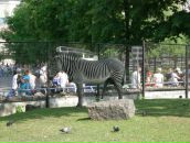 Фотография Trifan Vitaly