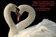 Ірина Гогалюк фотография #21 (источник - https://vk.com/id72288762)