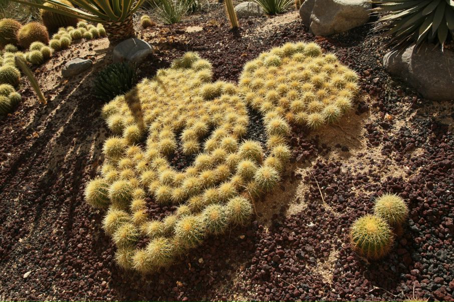 Джейн Эйр фото №24