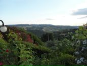 Dmitry Davidenko фотография #31 (источник - https://vk.com/id10142)