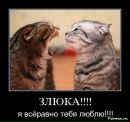 Софійка Підкович фотография #26 (источник - https://vk.com/id139079342)