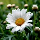 Олеся Ілитчук фотография #14 (источник - https://vk.com/id126756821)