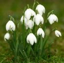 Ірина Безпалко фотография #44 (источник - https://vk.com/id160606820)