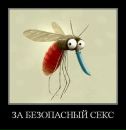 Віталік Старушик фотография #4 (источник - https://vk.com/id74827203)