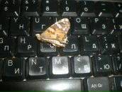 Фотография Смирновой Маргариты