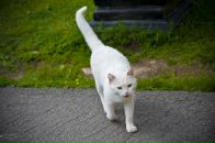 Фотография Григорьевой Галины