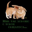 Фотография Екатерина Евсеева