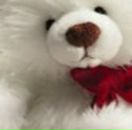 Наталі Войнова-Яковишина фотография #3 (источник - https://vk.com/id30739559)