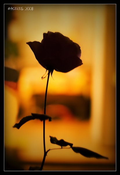 Yu Mayer фото №21