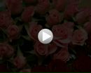 Ірина Наливайко фотография #18 (источник - https://vk.com/id163252173)