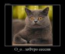 Женя Горобец фотография #38 (источник - https://vk.com/id3794978)