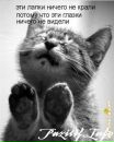 Фотография Федуненко Вероники