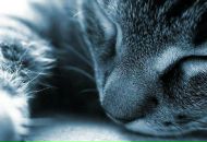 Фотография Ерохиной Оксаны