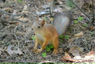 Константин Басалаев фотография #48 (источник - https://vk.com/id257097)