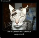 Фотография Соловьевой Светланы