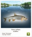 Діма Мікулеску фотография #9 (источник - https://vk.com/id148218934)