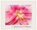 Фотография Рыжовой Татьяны
