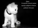 Фотография Евгений Хейнонен