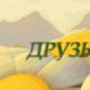 Сергій Романов фотография #10 (источник - https://vk.com/id151153507)
