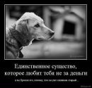 Ольга Вередін фотография #45 (источник - https://vk.com/id120300412)