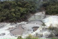 Александр Онищенко фотография #24 (источник - https://vk.com/id1753660)