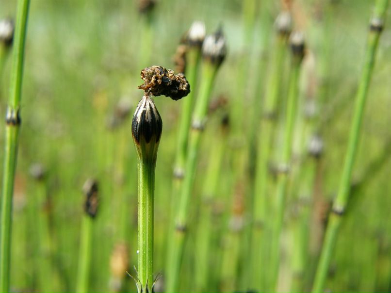 Ксения Черных фотография #22