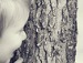 Іра Пошук фотография #26 (источник - https://vk.com/id122073932)