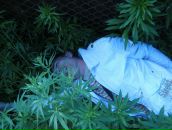 Дмитрий Дии фотография #11 (источник - https://vk.com/id12439631)