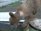 Фотография Кононова Ивана