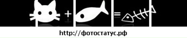 Діана Яблонська фотография #17 (источник - https://vk.com/id55095786)