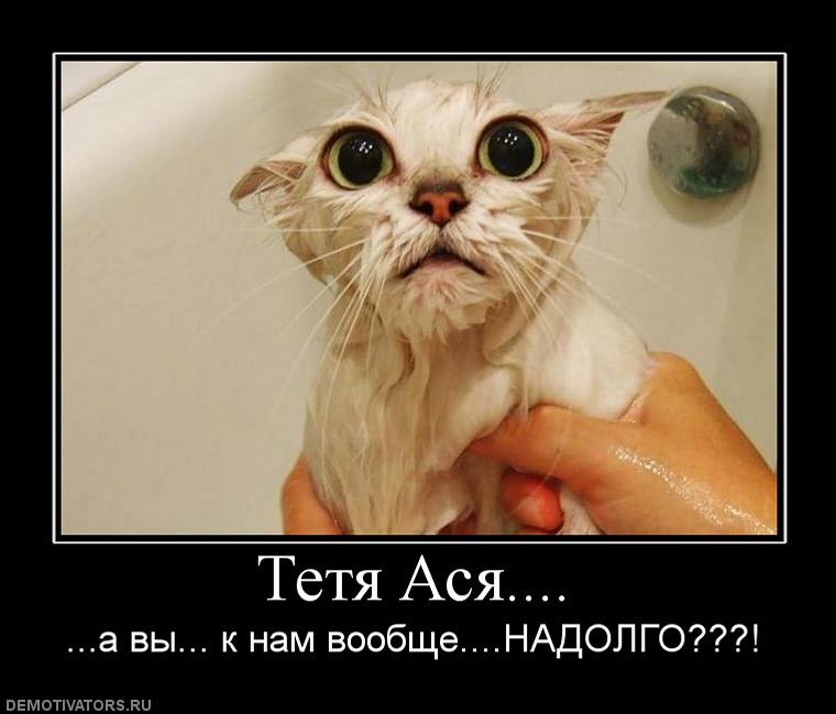 Сергей Агентов фотография #17