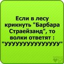 Богдан Білецький фотография #34 (источник - https://vk.com/id61384280)