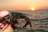 Фотография Лепихова Дмитрия