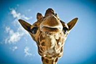 Фотография Ромахова Даниила