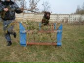 Саня Власенко фотография #10 (источник - https://vk.com/id72582244)