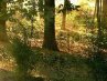 Софія Гірняк фотография #6 (источник - https://vk.com/id163845122)