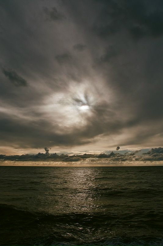 Папочка Бэндер фотография #44