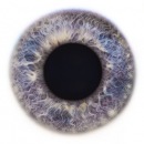 Фотография Пестова Дмитрия