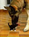 Ірка Стефурак фотография #6 (источник - https://vk.com/id87508412)