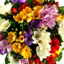 Фотография Михайлик Надежды