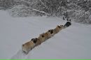 Κсения Κалашникова фотография #28 (источник - https://vk.com/id164563406)