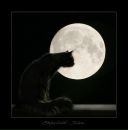 Фотография Зиновьевой Анны