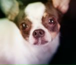 Фотография Ивановой Виктории