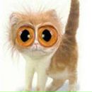 Фотография Фоминой Анны